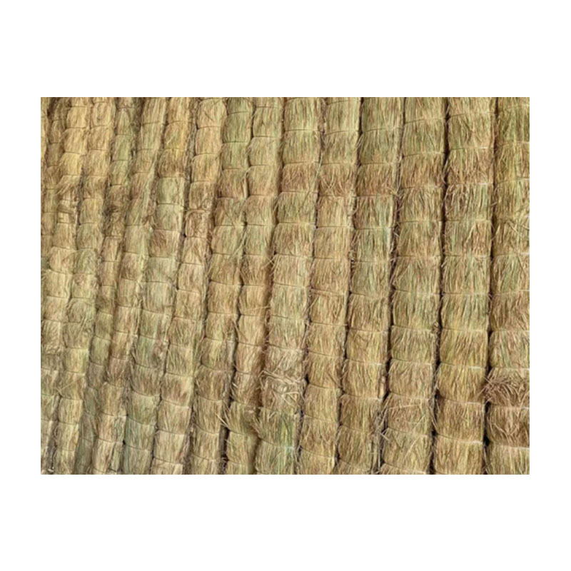 艾德林锐条形草支垫1450*100*150mm根高清大图