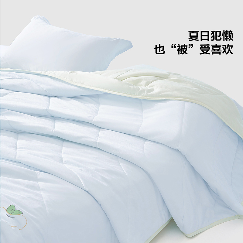 百丽丝家纺可水洗可机洗大豆纤维被芯夏被凉感空调被单双人宿舍家用
