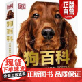 dk狗百科 名犬百科 科学饲养 养狗全攻略书籍 宠物狗图鉴大全 懒人养宠速成手册 狗狗大百科 饲养狗狗书籍 狗类驯养入门