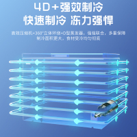 澳柯玛BC/BD-308HNE大容量家用冰柜一级能效减霜阻霜商用冷柜顶开冷冻冷藏冰箱