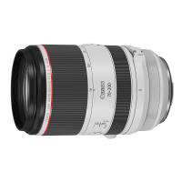佳能(Canon)RF70-200mm F2.8 L IS USM 镜头