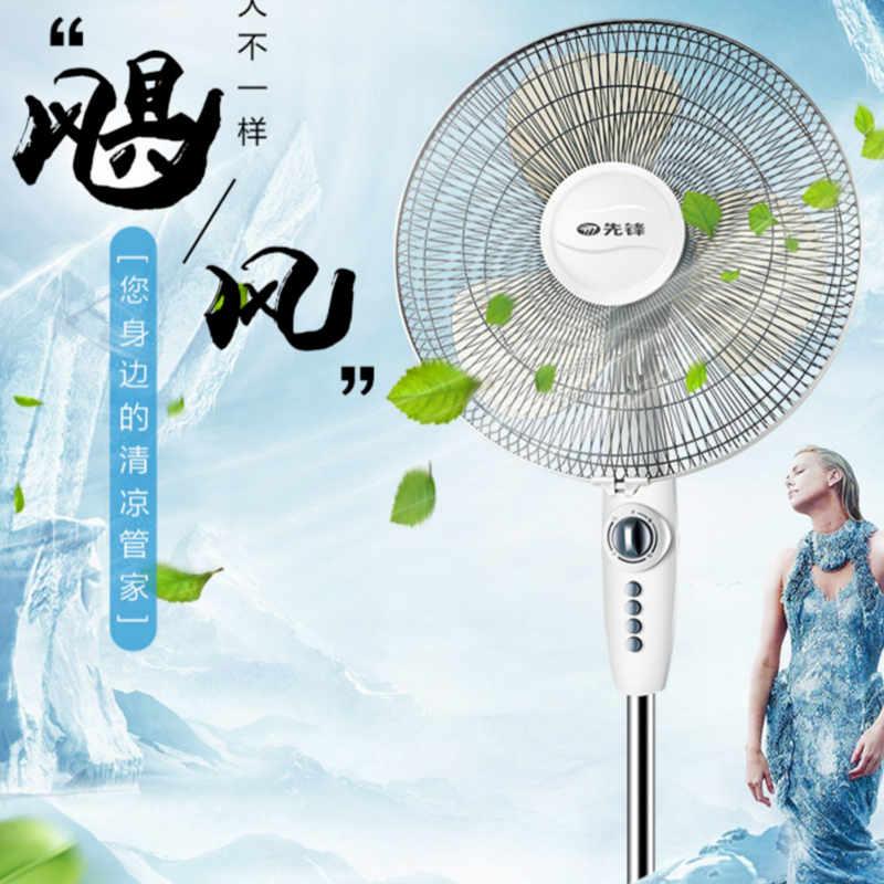 先锋(SINGFUN)电风扇五叶落地扇大风量风扇立式广角摇头电扇定时家用客厅办公室机械风扇 FS40-11B高清大图