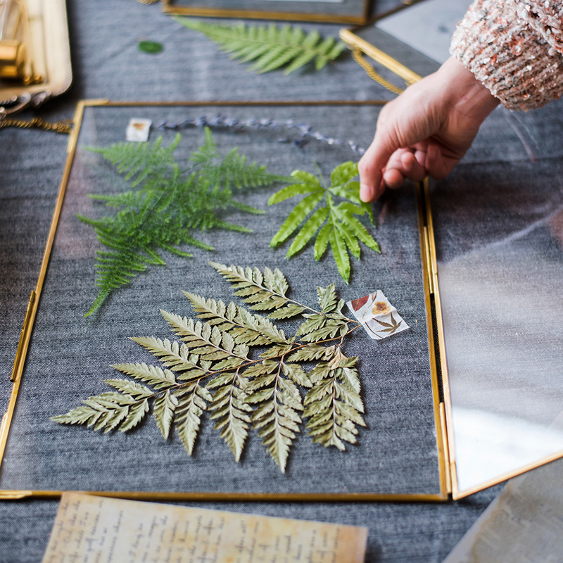 美帮汇印度铜装饰画框相框 双面玻璃创意DIY植物裱标本夹 黄铜挂框13*18.5cm高清大图
