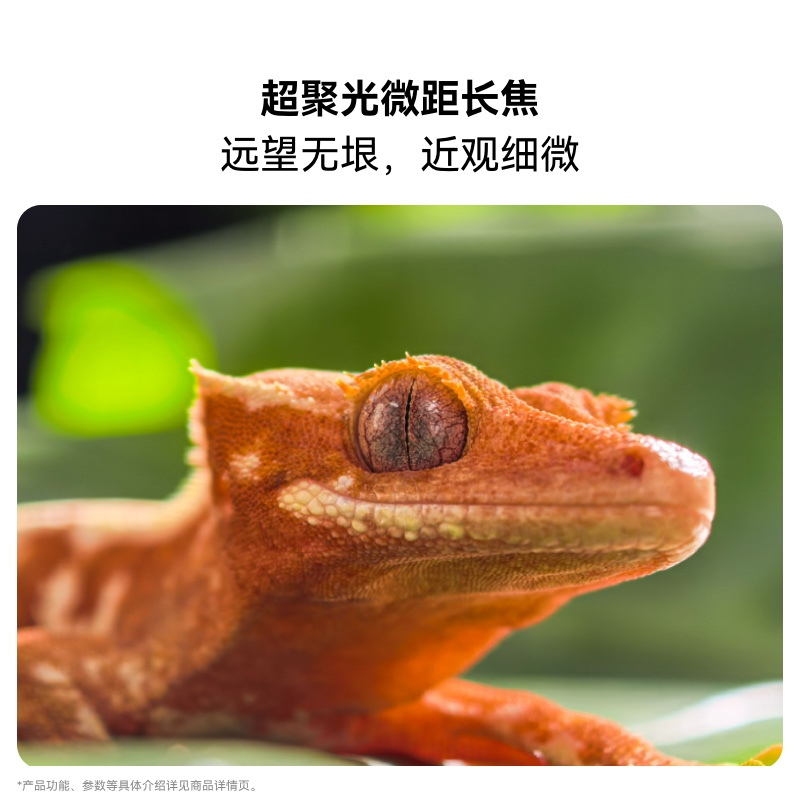 [智能手机]华为 Pura 80 Pro (LMR-AL00) 12GB+256GB 釉白高清大图
