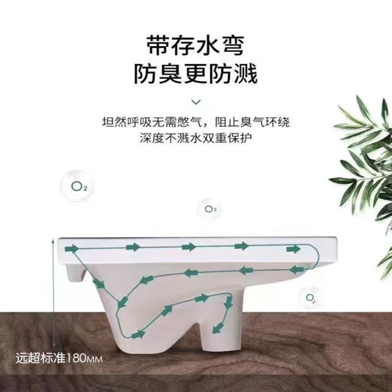 陶瓷防臭蹲便器高清大图