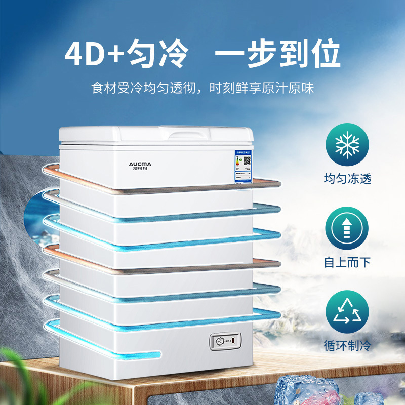 澳柯玛100升冷柜家用小冰柜全冷冻冷藏两用卧式一级单温冷柜冰箱高清大图