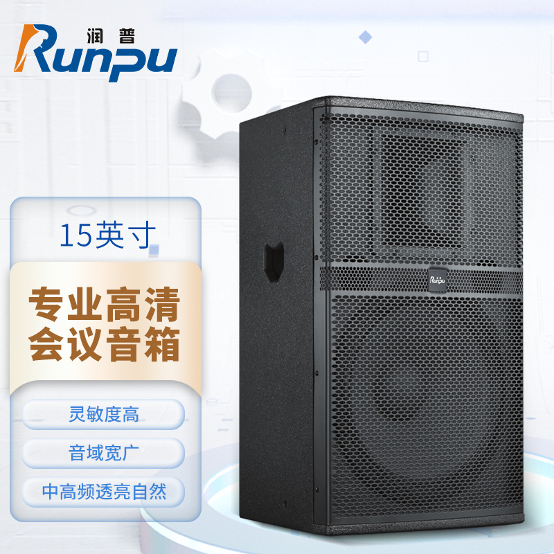 润普Runpu会议音频扩声系统专业双15英寸会议音箱无源音响礼堂会议室扩声音响设备RP-SY-XYC15高清大图