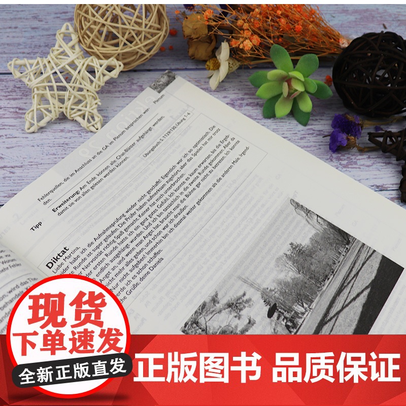 正版 走遍德国初级3教师手册 走遍德国B1教师手册 欧标B1二外德语教材 大学德语教程初级德语 外语教学与研究出版社9高清大图
