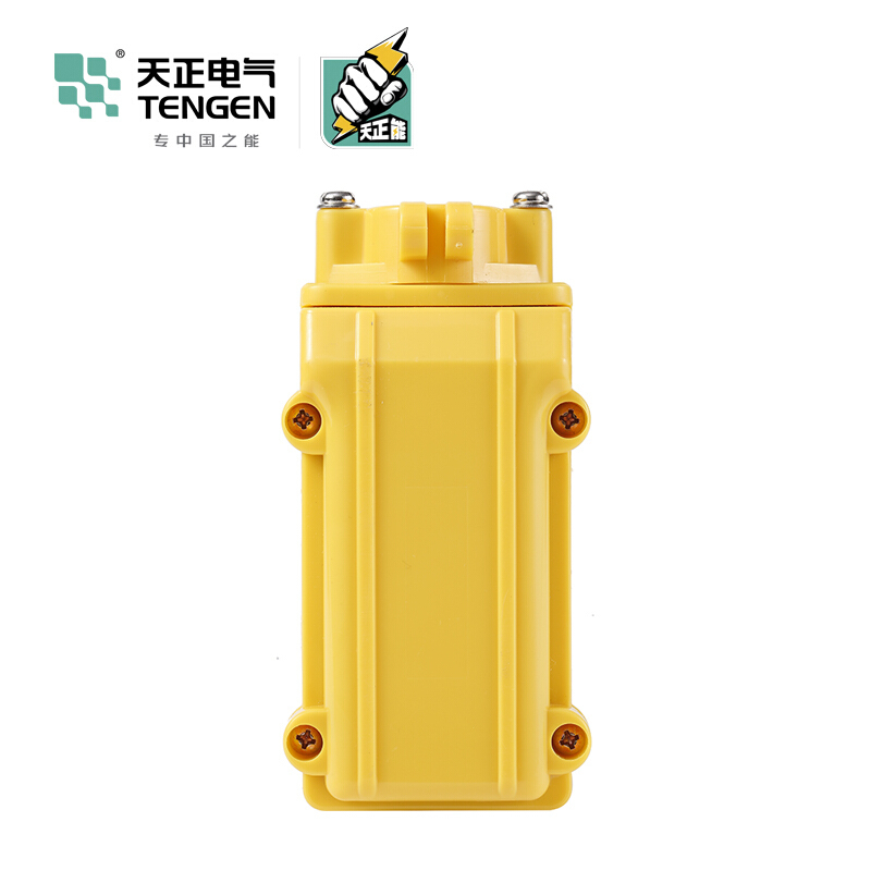 天正电气 COB 复位型 塑料 1对 上下 08010010001 按钮开关