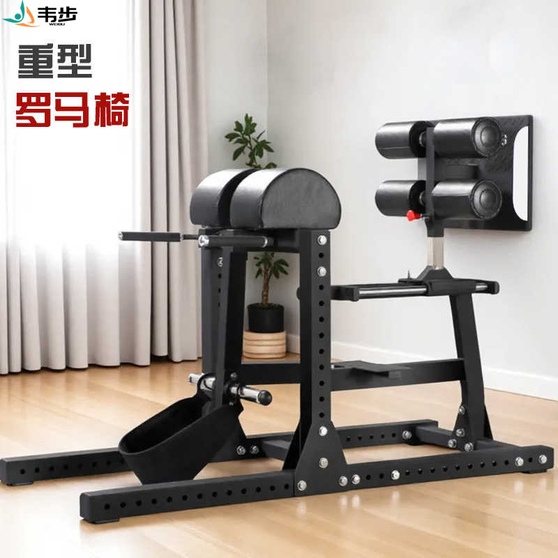 韦步FW6230重型罗马椅山羊挺身商用仰卧起坐腰部腹肌背肌训练器材高清大图