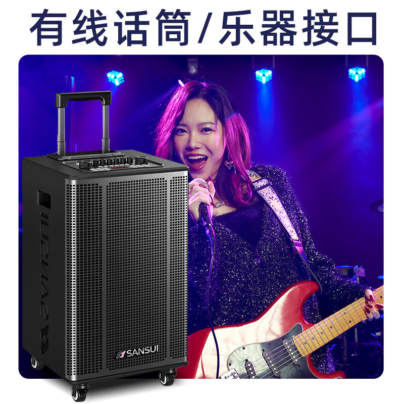 山水(SANSUI)E15户外拉杆大功率音响 移动蓝牙露营重低音炮音箱 E15豪华版(15吋重低音+美声话筒)