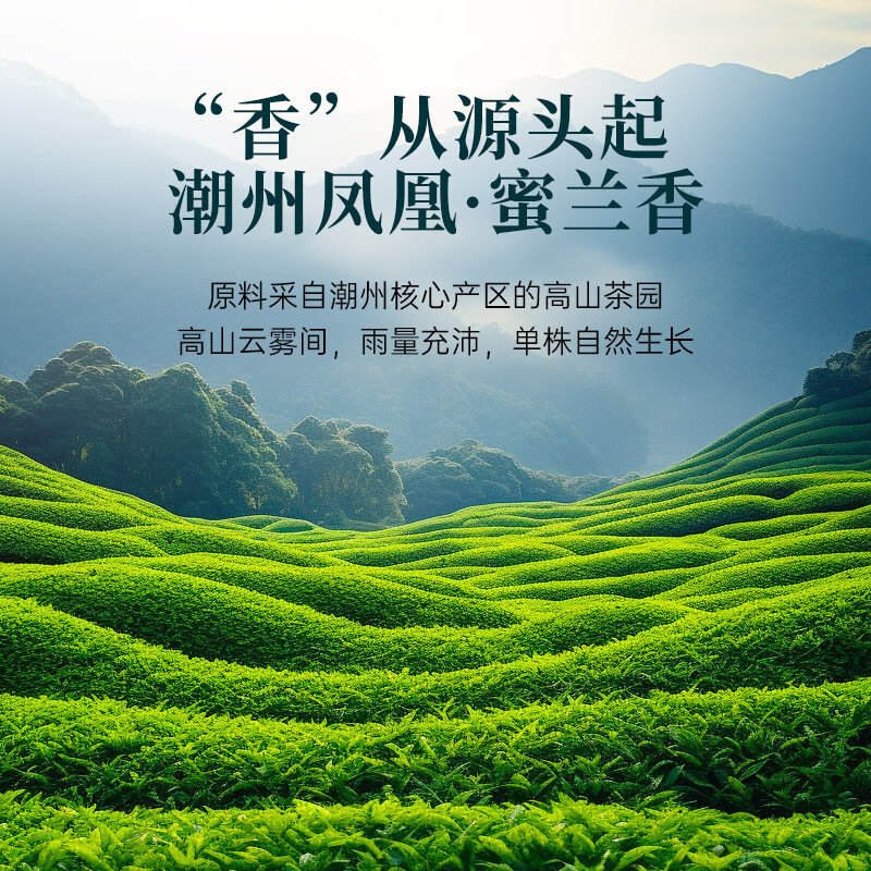 华祥苑(EMPEREUR) 潮州凤凰单枞高山乌龙茶蜜兰香 日常办公自饮口粮茶 华祥庄园凤凰单丛 100g*1罐高清大图