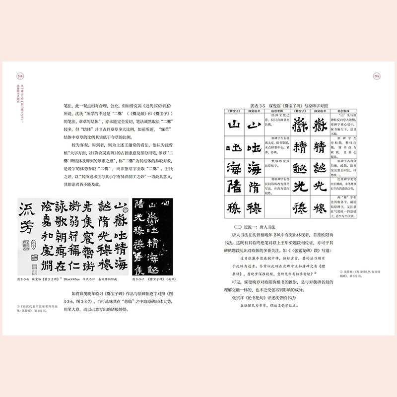 醉染图书从“通人之学”到"通人之书" 沈曾植书法研究9787102086132高清大图