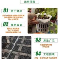 陶粒球垫底花盆防烂多肉种植铺面无土栽培营养土园艺土陶粒