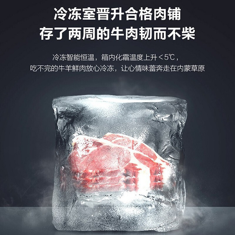 海尔(Haier)对开门冰箱 600升 全空间保鲜 一级节能变频风冷 分层多路送风 BCD-600WGHSS17NZU1