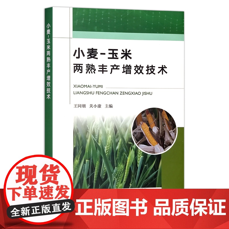 小麦-玉米两熟丰产增效技术 王同朝,关小康 高产栽培 28387高清大图