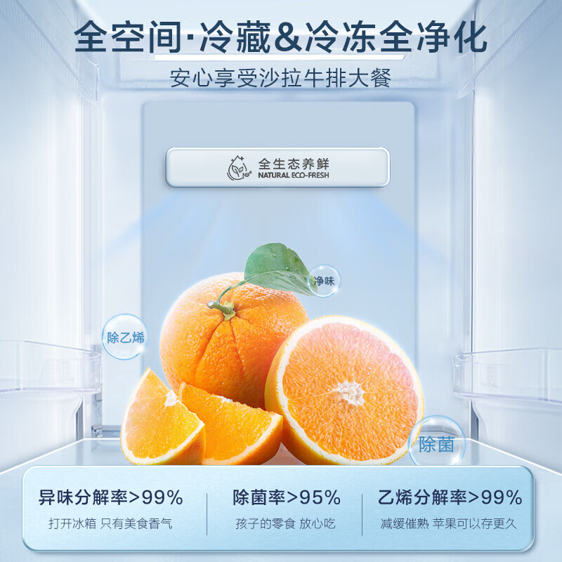 容声(Ronshen)[离子净味升级款]608L双开对开门风冷无霜家用超大容量两门超薄双门一级能效变频电冰箱