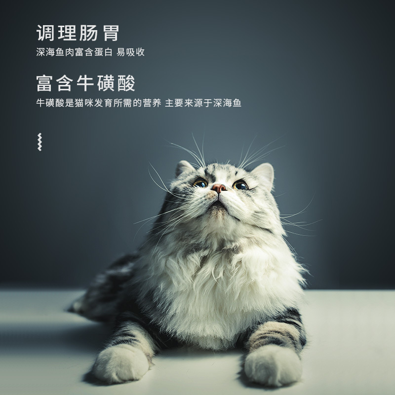 海洋之星鲭鱼猫粮1.5kg小猫幼猫成猫鱼肉猫食天然无谷猫咪主粮