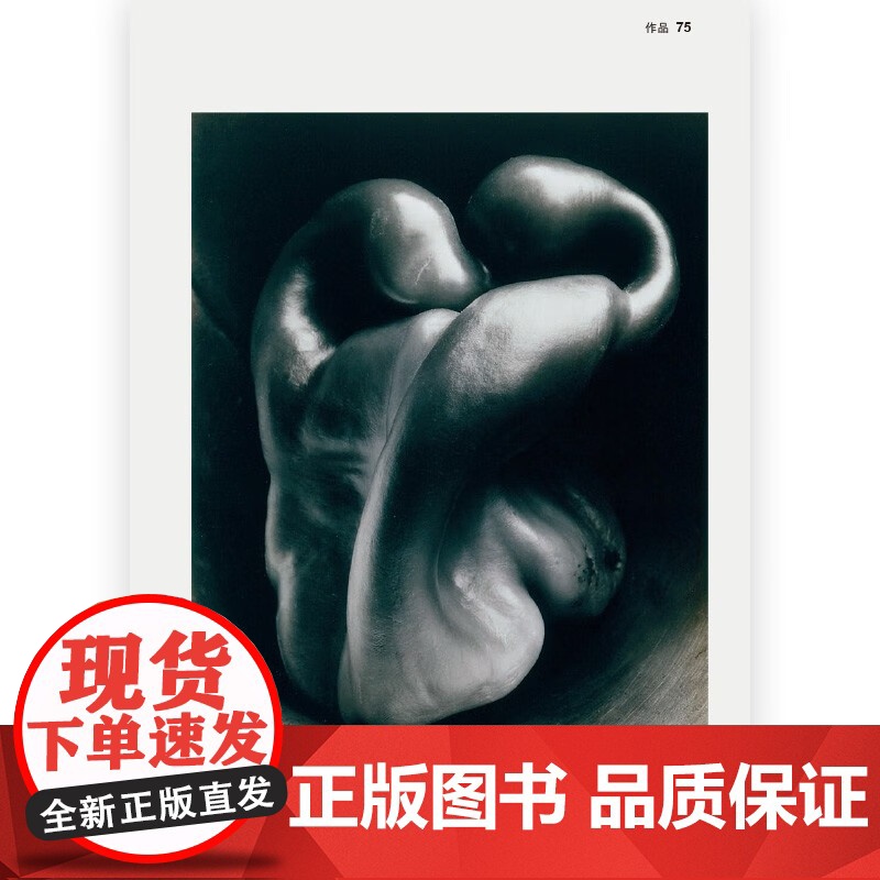 摄影简史 伊恩 海登 史密斯 著 摄影高清大图