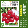 蔬菜种子四季播种阳台农家盆栽香菜菠菜生菜韭菜小葱草莓籽孑大四 均码 红樱桃萝卜约200粒