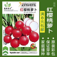 蔬菜种子四季播种阳台农家盆栽香菜菠菜生菜韭菜小葱草莓籽孑大四 均码 红樱桃萝卜约200粒