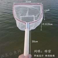 新款不锈钢抄网全套捞鱼抄鱼捕鱼网鱼捞网钓鱼密眼实心操网网兜 手柄长30cm 网眼特密 木把