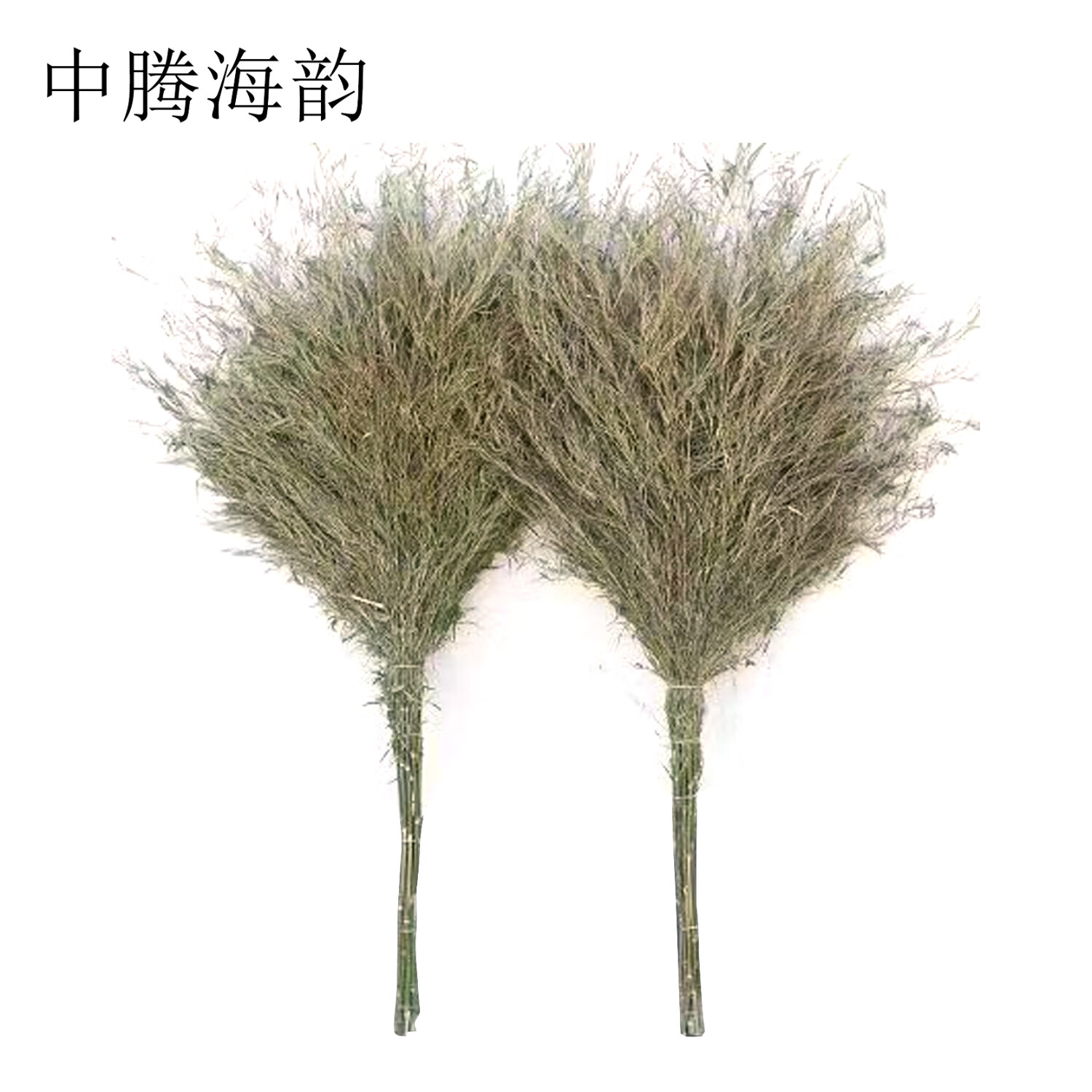 中腾海韵中腾海韵 竹扫把 220cm 单位:把高清大图