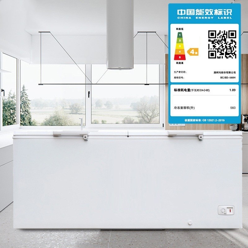 卧式冰柜 顶开门冷柜 商用大容量冷藏冷冻双开门卧式大冷柜 S