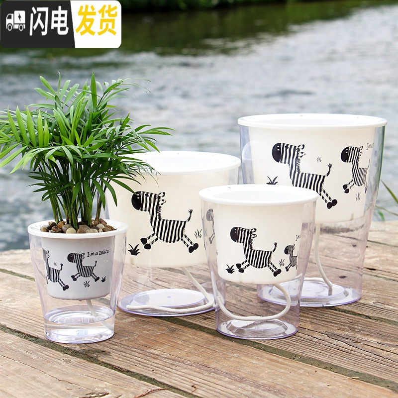 三维工匠懒人绿萝吊兰塑料透明免浇水花盆小绿箩自动吸水大号创意水培花盆 铁架款小号D03蛋型盆 中等花盆容器高清大图