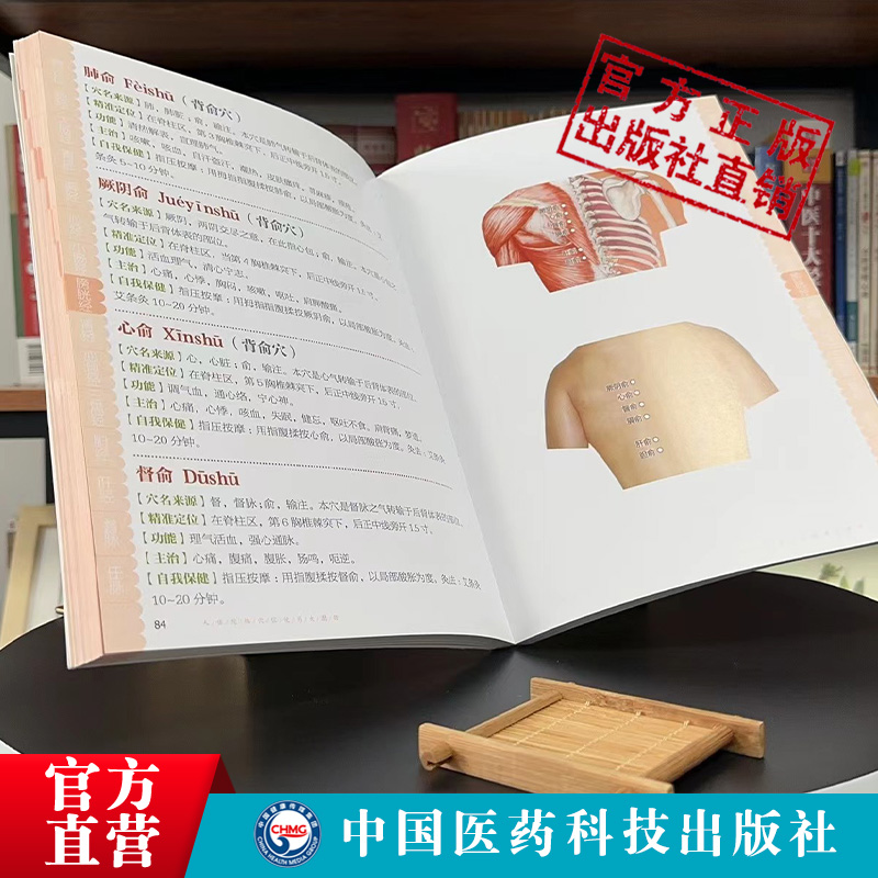 [醉染正版]人体经络穴位使用大图册郭长青社人体穴位经络图人体经络穴位图解书人体经络穴位标准大图册全身穴位图文定位美体针灸高清大图