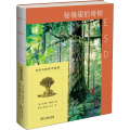 秘境里的奇树