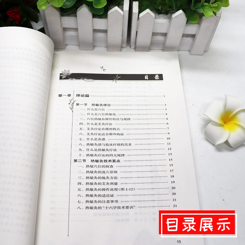 [正版] 热敏灸实用读本 第2版 陈日新 陈明人 康明非 著 热敏灸理论 病症治疗方案 热敏灸防病治病 人民卫生出版社高清大图