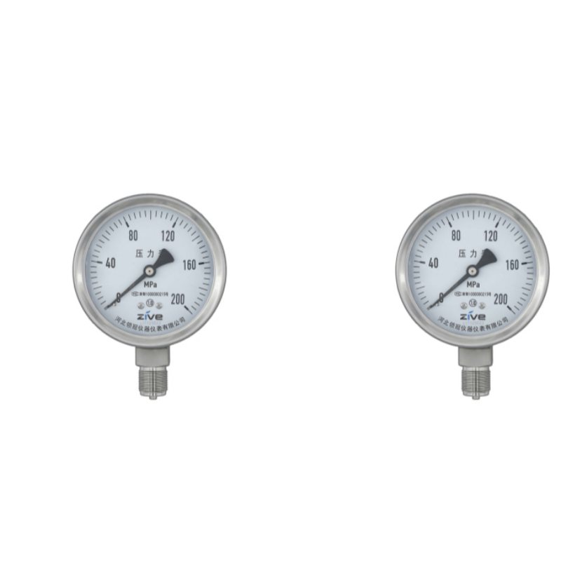 ZIVE 超高压压力表ZIVE-1306461高清大图