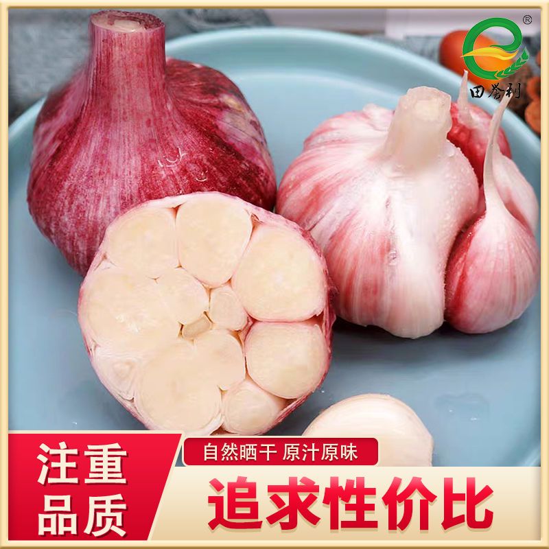 2斤中小果 河南新蒜新鲜大蒜紫皮精选10斤2斤紫皮大蒜头批发鲜蒜腌制糖醋蒜甘鲜生