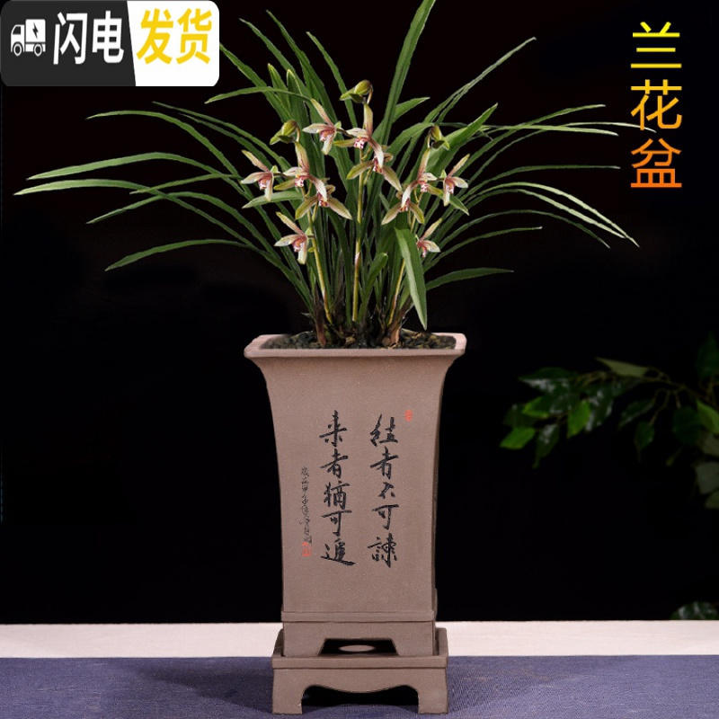 三维工匠精品紫砂花盆兰花盆君子兰盆景盆室内大号古典六方带托盘陶瓷花盆 紫泥六方漂口SA 大花盆容器高清大图