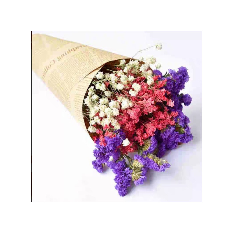 干花真花花束云南满天星勿忘我家居百搭送礼客厅卧室装饰真花
