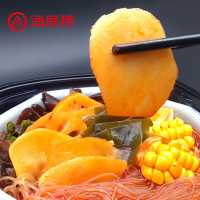海底捞自煮火锅香辣素食懒人小火锅400g方便速食自热火锅即食自助