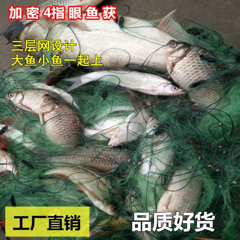 [优先发货]鱼网粘网三层渔网丝网挂网拦河工具渔具沾网粘鱼网网鱼网图片