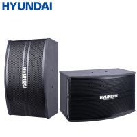 现代（HYUNDAI）HY-888 卡包音响 KTV音响家庭影院组合套装 会议客厅卡拉ok家用 仅对箱
