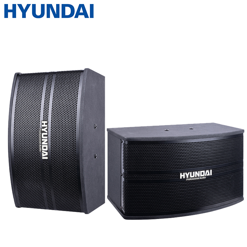 现代（HYUNDAI）HY-888 卡包音响 KTV音响家庭影院组合套装 会议客厅卡拉ok家用 仅对箱