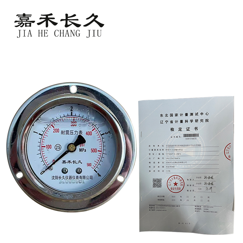 嘉禾长久 耐震压力表轴向带边（带辽宁省级检定证书）YTN60ZT 块 YTN60ZT，0-4MPA