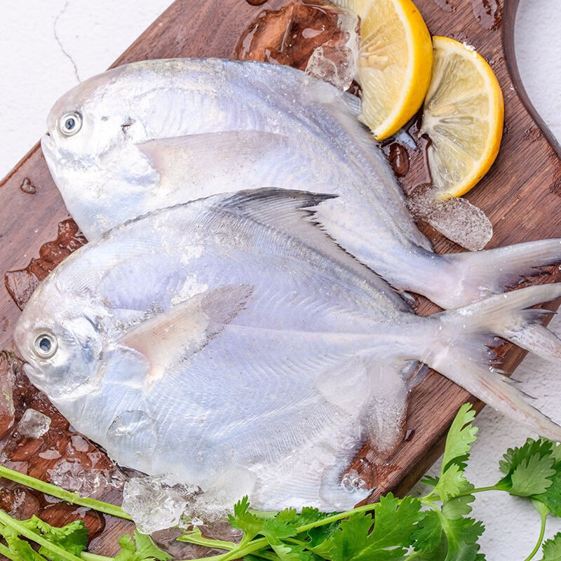 祈源祈源深海鲳鱼1000g营养丰富