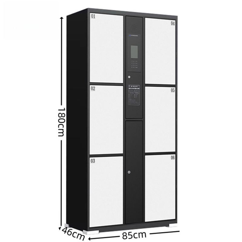 智叶舟电子存包柜人脸识别6门850*460*1800mm台高清大图