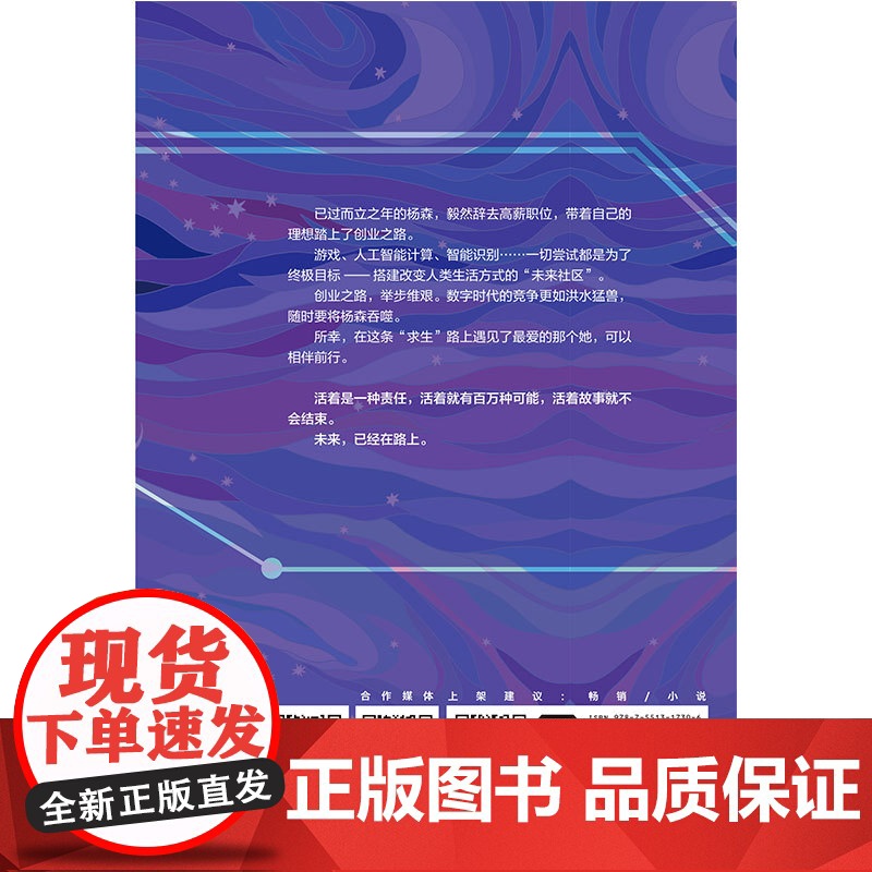 数字搏击 丁奉 太白文艺出版社 正版书籍高清大图