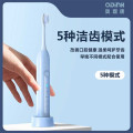 奥鼎康(ODINK) 声波电动牙刷牙齿清洁自动牙刷可更换刷头牙齿护理 充电款 A-K01