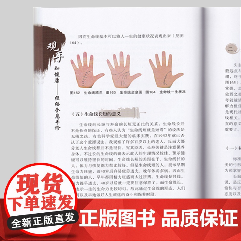 观手知健康 经络全息手诊 第二版 蔡洪光 中医面诊养生保健 中医按摩经络穴位 人体经络穴位书籍手部穴位按压高清大图