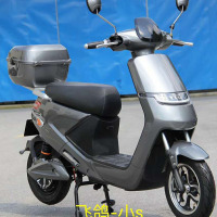 飞鸽 电动车 成人电动自行车 迷你小型电瓶车 48/60v DCZ-1