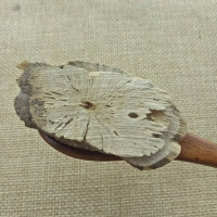 紫苏根500g中 大全干苏子根 酥子根有苏梗 苏叶中草药店铺