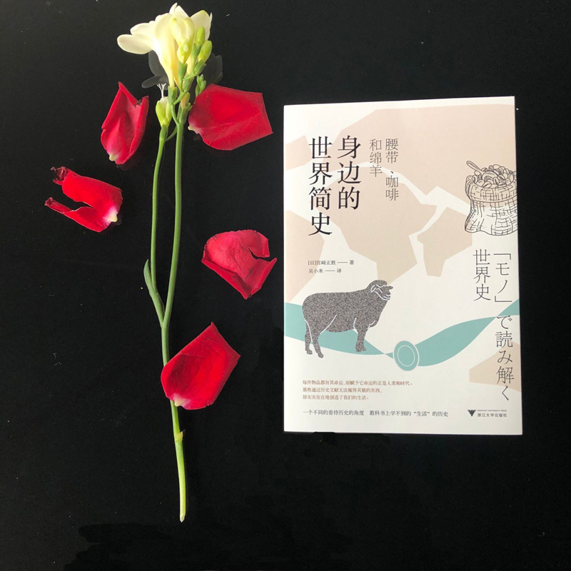 醉染图书身边的世界简史 腰带、咖啡和绵羊9787308187374高清大图