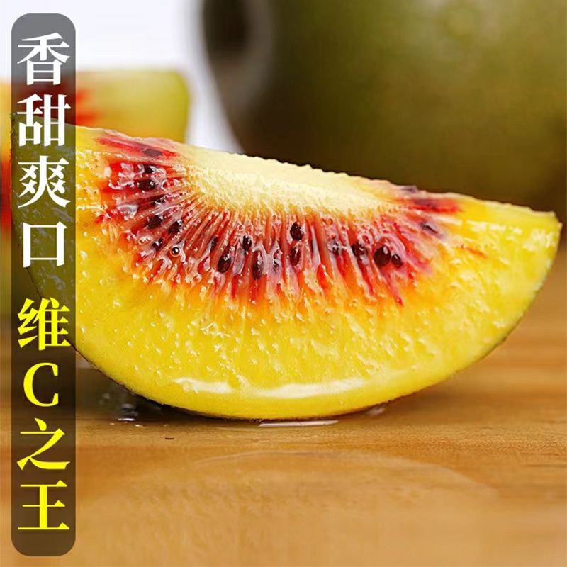四川红心猕猴桃新鲜孕妇水果当季甜奇异果大果15粒弥猴桃整箱